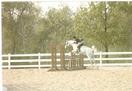 Thanks you SO much Jennifer Web & Irene Miller for sharing this wonderful horse with us!